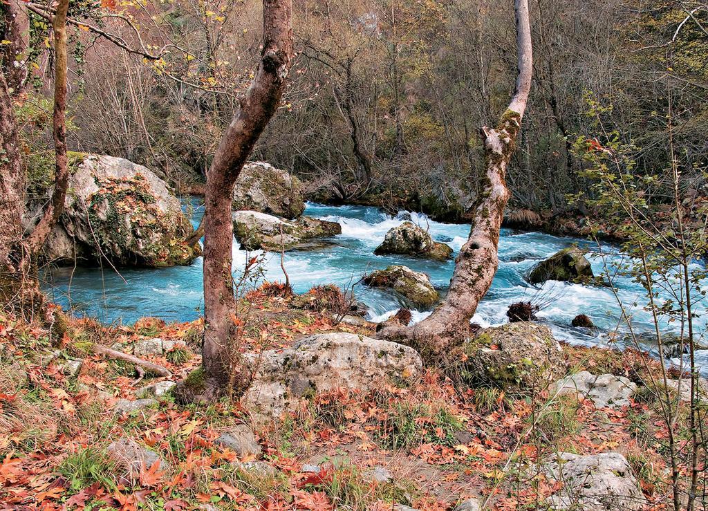 Diavatiko Pension Stemnitsa Buitenkant foto